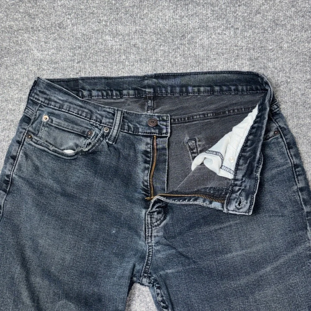 Levis levis 504